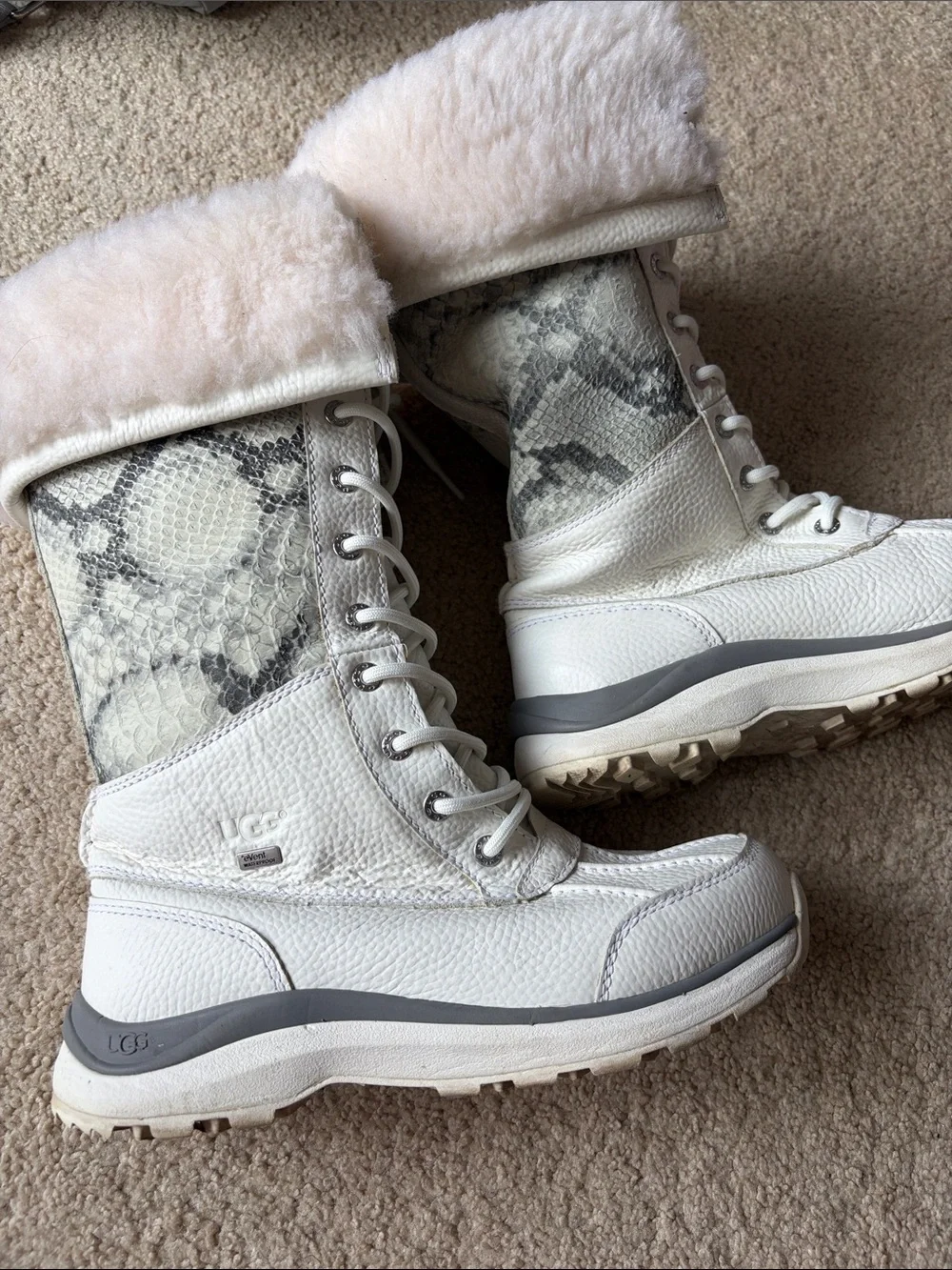 UGG cream lace